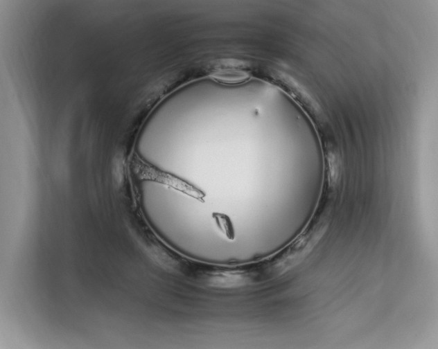 X0000112040451200908171514