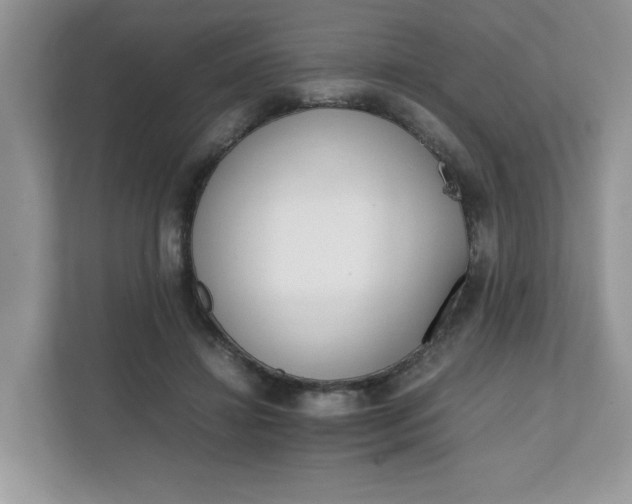 X0000112040452200908171514