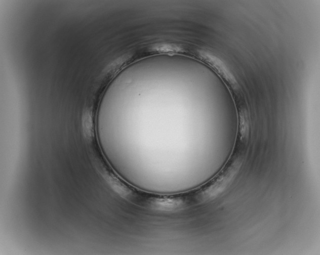 X0000112040453200908171514