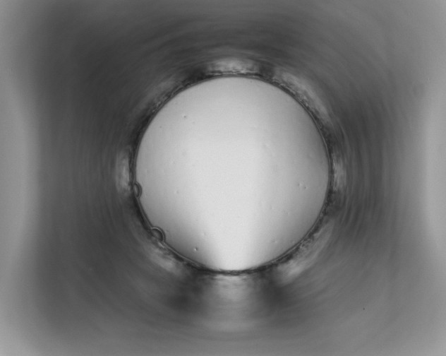 X0000112040457200908171514
