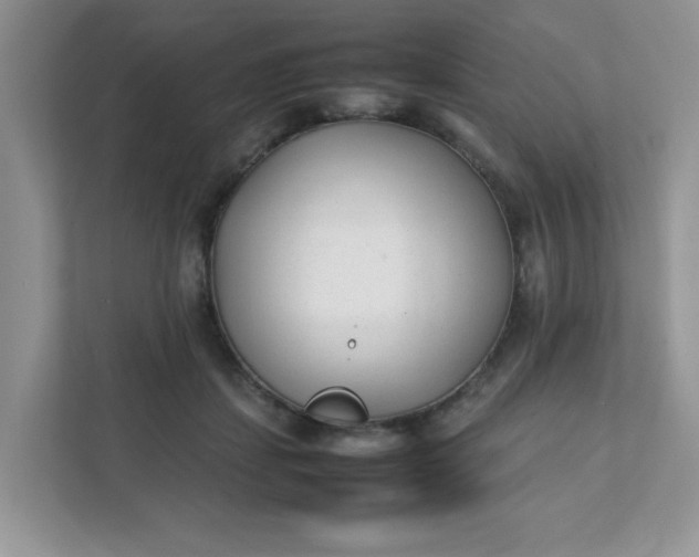 X0000112040459200908171514