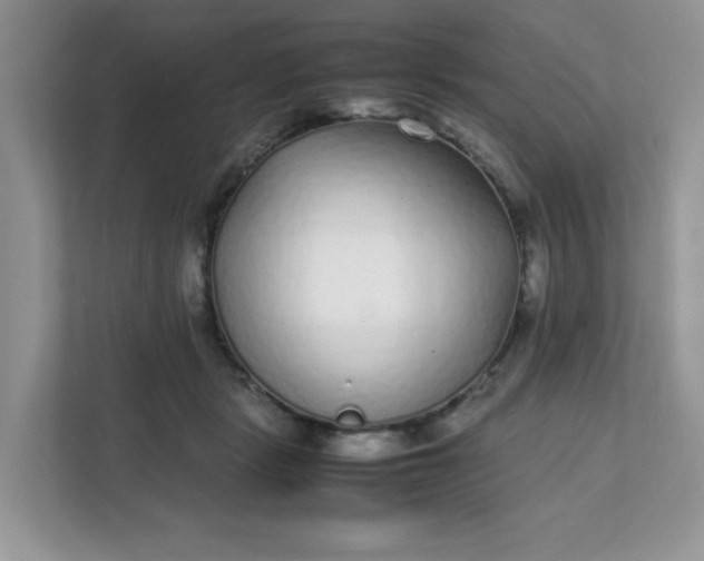 X0000112040461200908171514