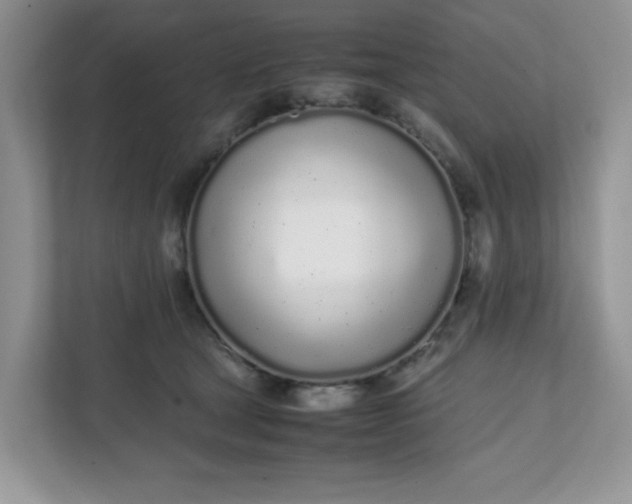 X0000112040465200908171514