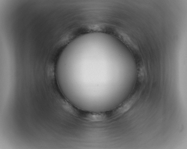 X0000112040466200908171514