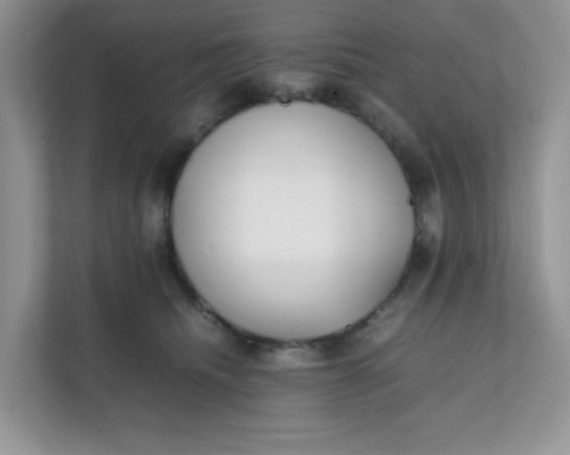 X0000112040468200908171515