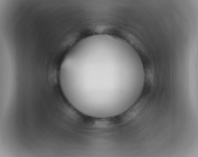 X0000112040470200908171515