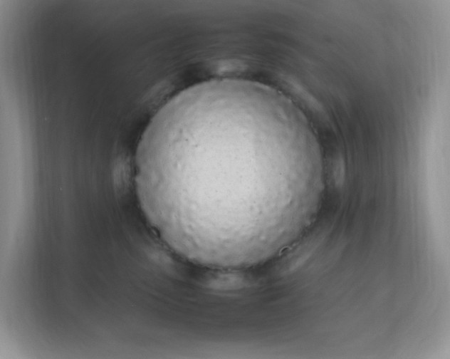 X0000112040475200908171515