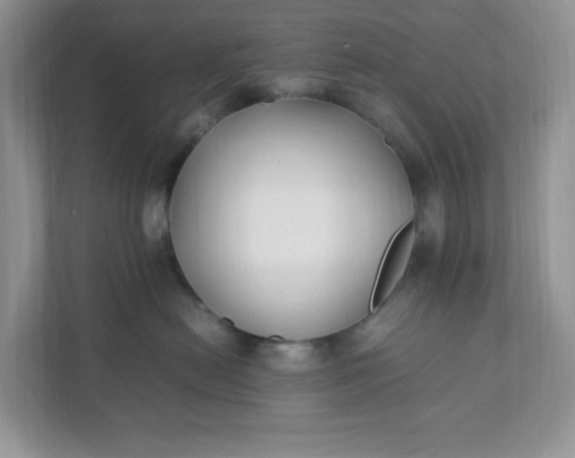 X0000112040478200908171515