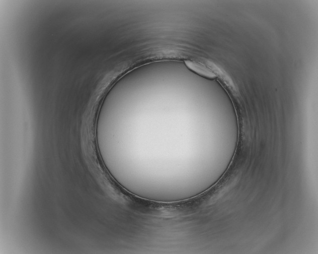 X0000112040481200908171514