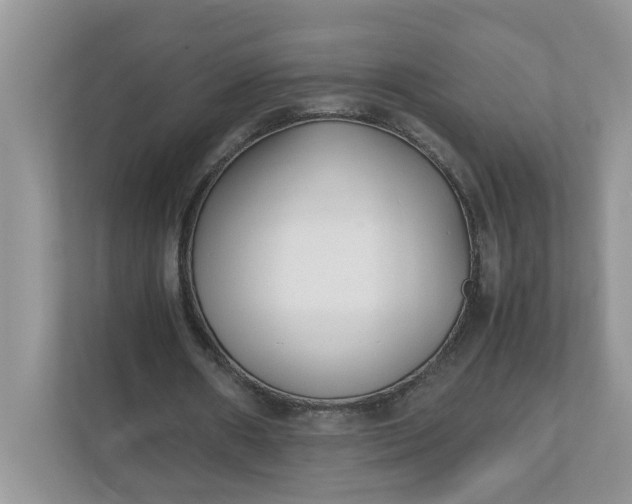 X0000112040482200908171514