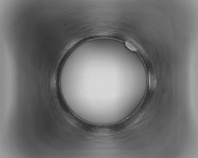 X0000112040483200908171514