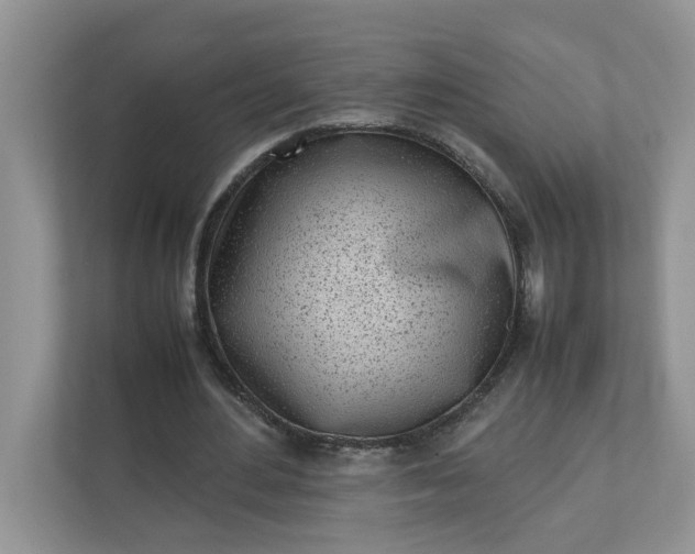 X0000112040484200908171514