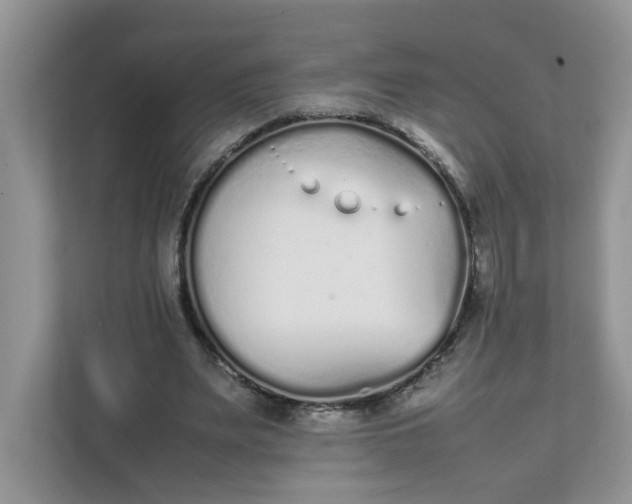 X0000112040487200908171514