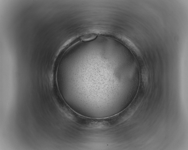 X0000112040488200908171514