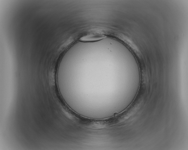 X0000112040489200908171514