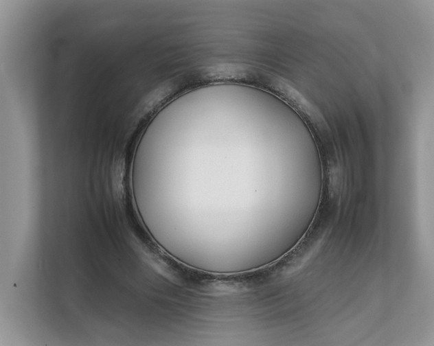X0000112040490200908171514