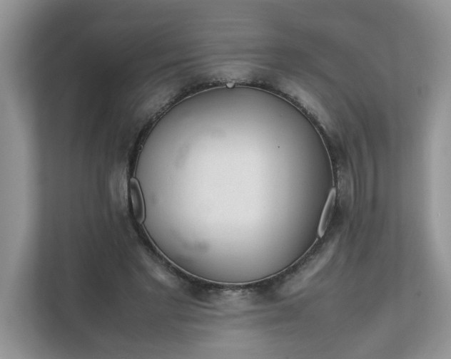 X0000112040493200908171514
