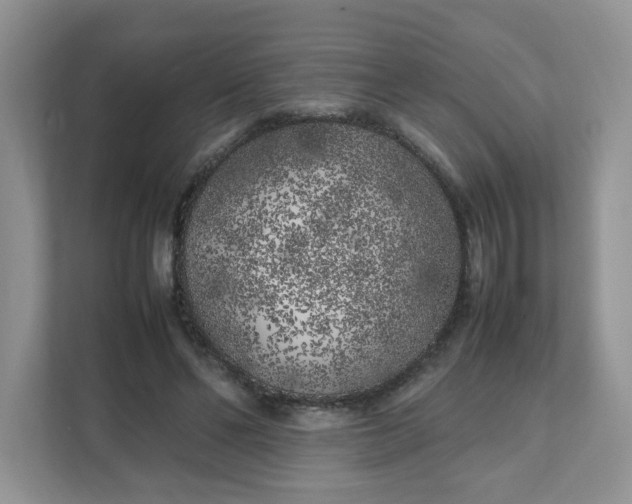 X0000112040494200908171514