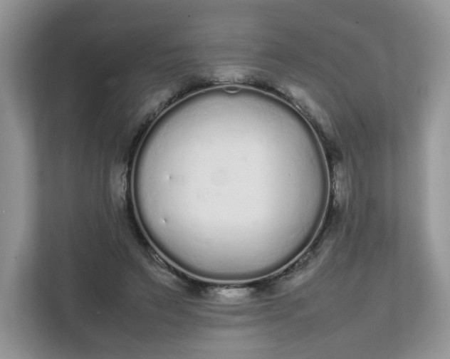 X0000112040495200908171514