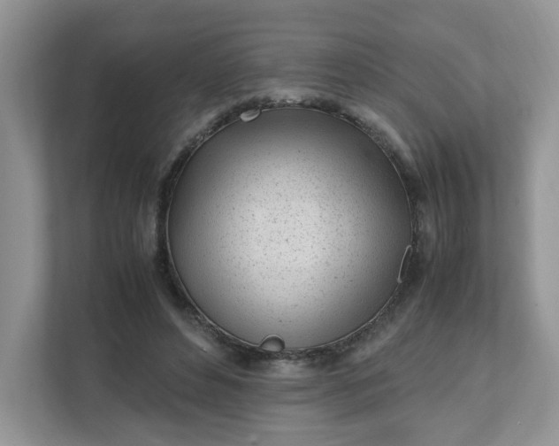 X0000112040496200908171514