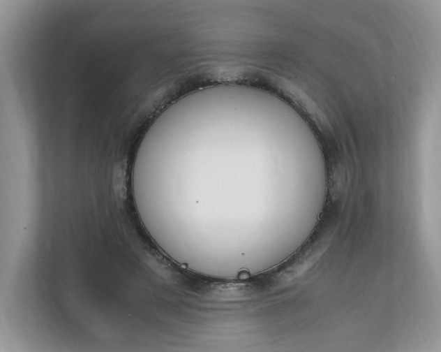 X0000112040497200908171514