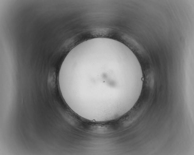 X0000112040498200908171514