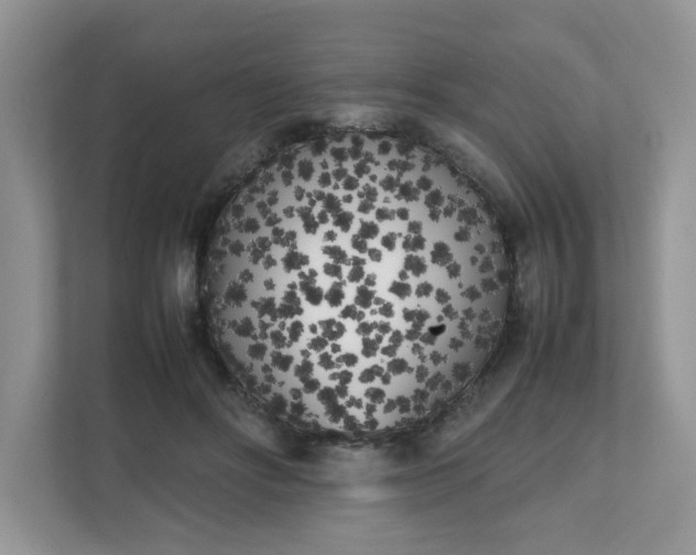 X0000112040502200908171514