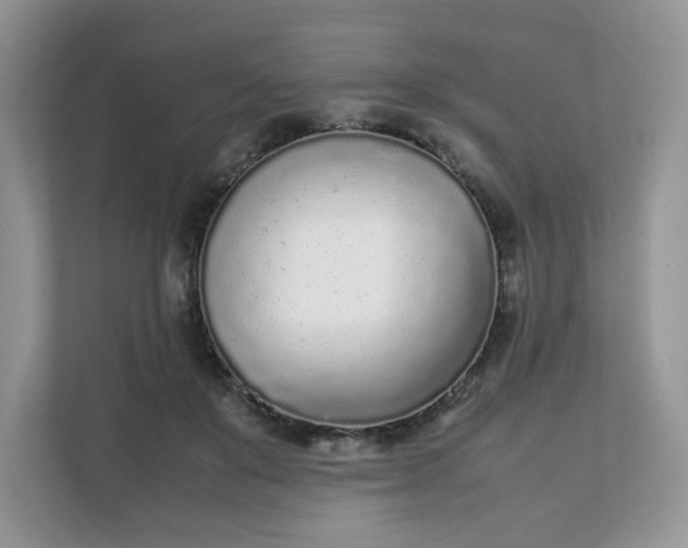 X0000112040503200908171514