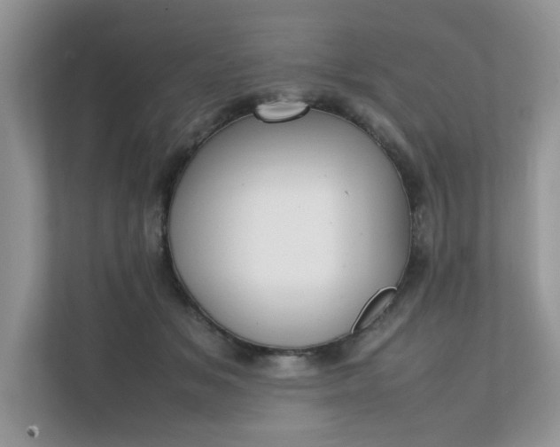 X0000112040509200908171514