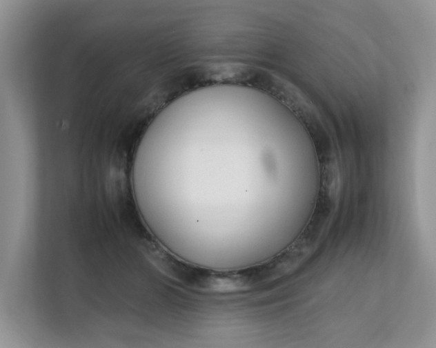 X0000112040510200908171514