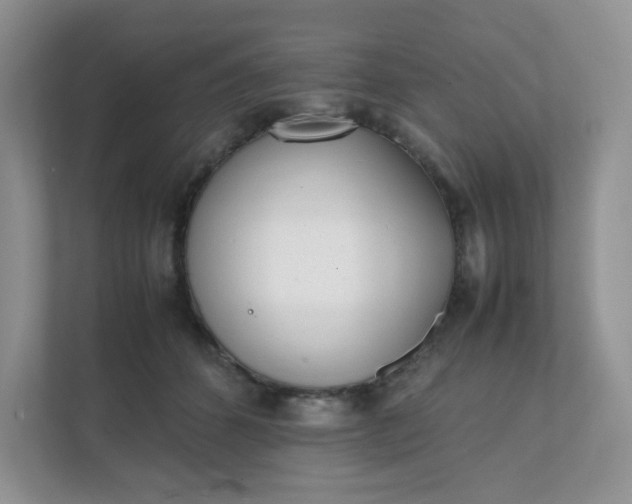 X0000112040512200908171514
