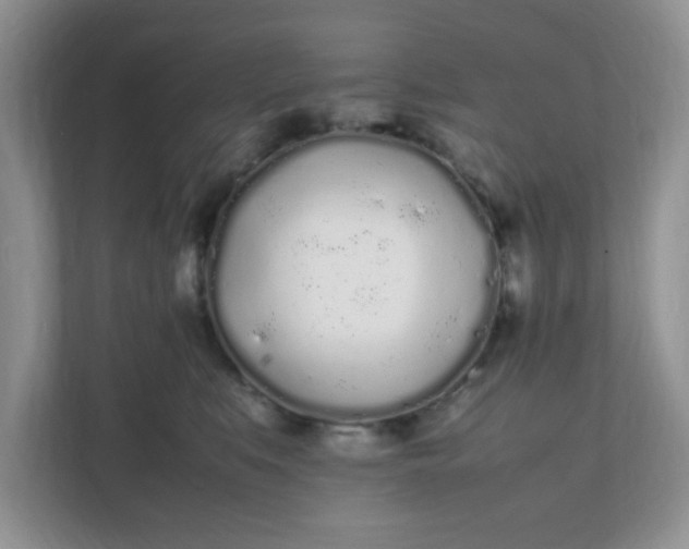 X0000112040519200908171514