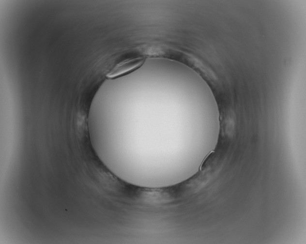 X0000112040521200908171514