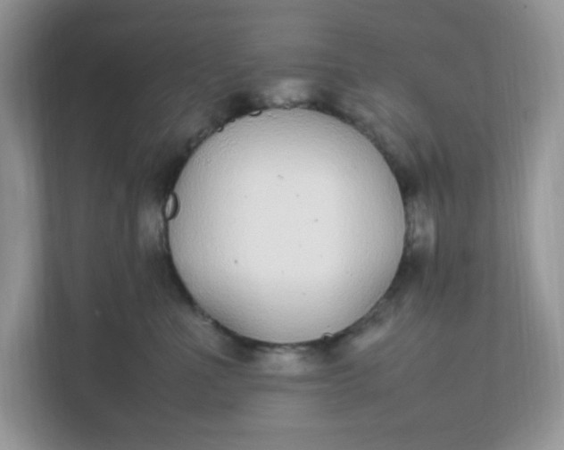 X0000112040523200908171513