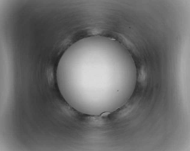 X0000112040524200908171513