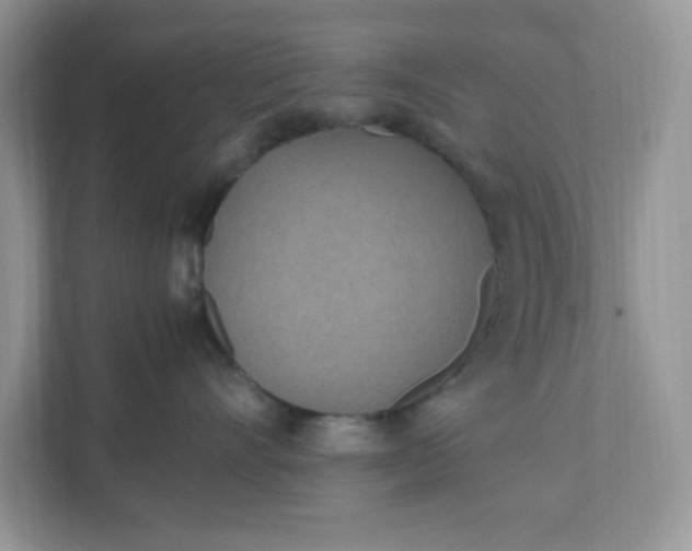 X0000112040528200908171513