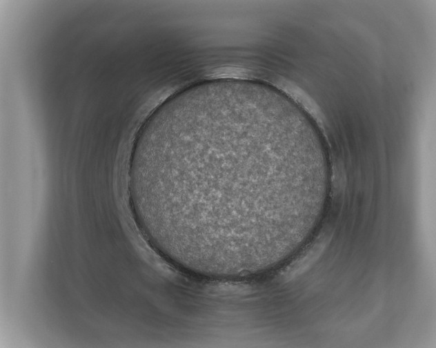 X0000112040529200908171513