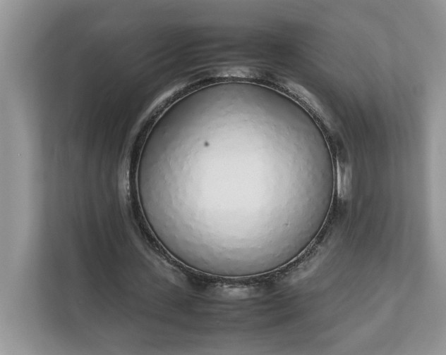 X0000112040531200908171513