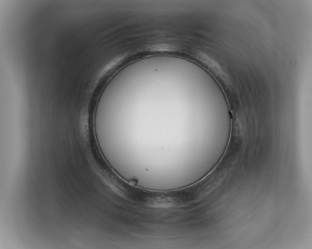 X0000112040535200908171513