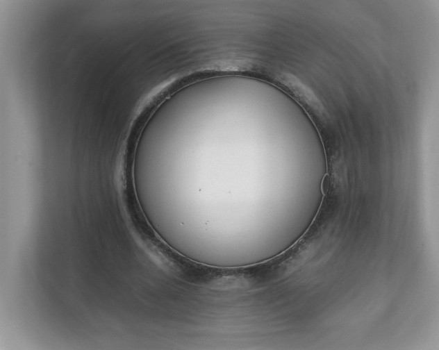 X0000112040536200908171513