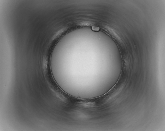 X0000112040539200908171513