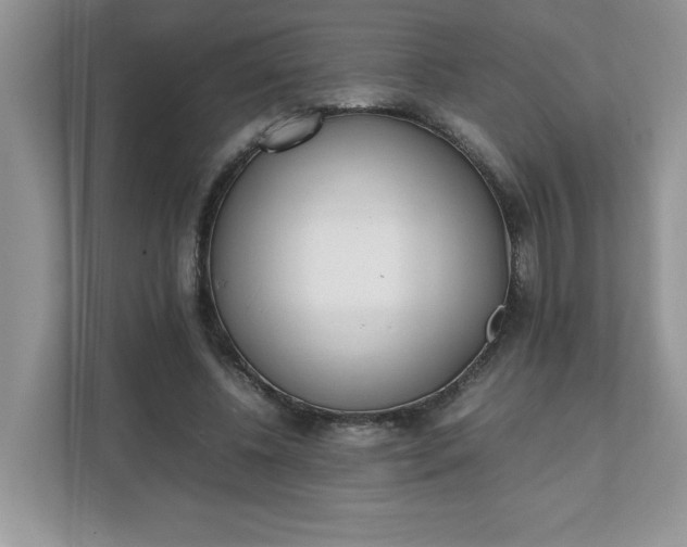 X0000112040540200908171513