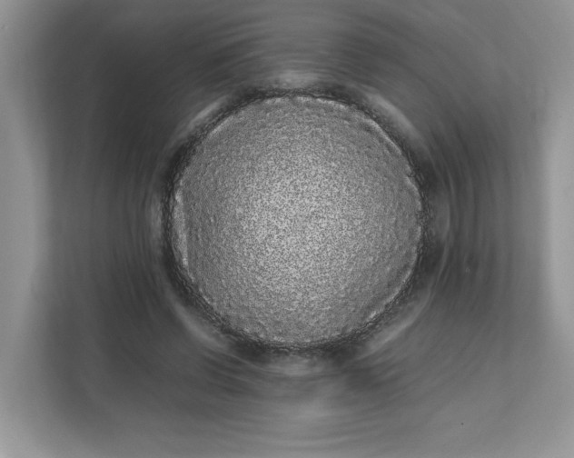 X0000112040542200908171513