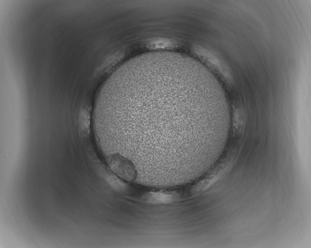 X0000112040545200908171513