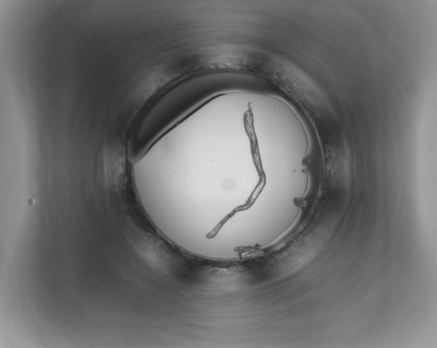 X0000112040548200908171513