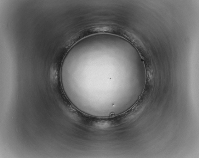 X0000112040551200908171513