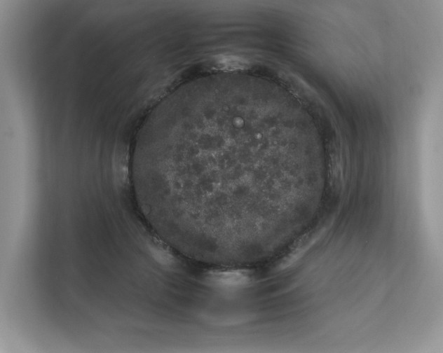 X0000112040553200908171513