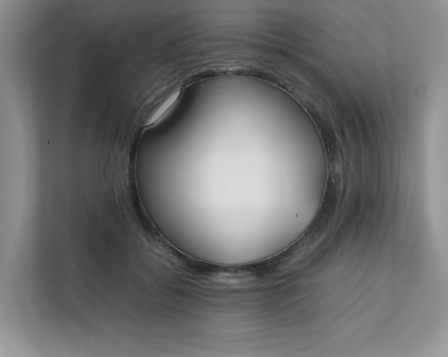 X0000112040556200908171513
