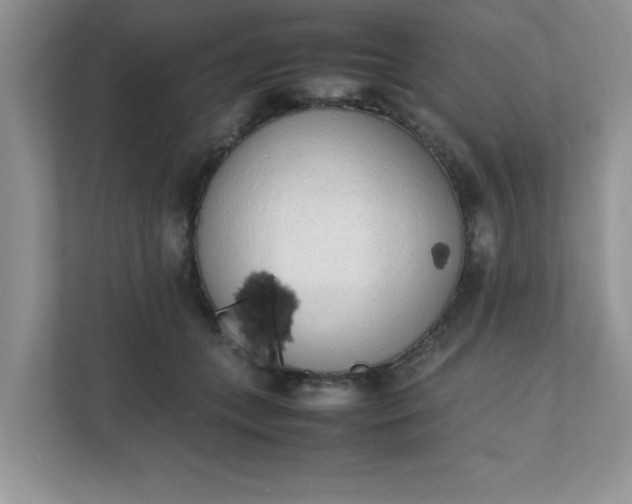 X0000112040559200908171513