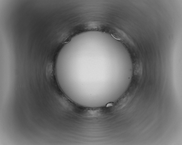 X0000112040560200908171513